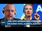 AFD: "Nicht alles, was juristisch möglich ist, ist auch politisch klug" – Experte mahnt vor Verbot