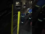 Gato é resgatado dos trilhos do Metrô Vergueiro e ganha chance de adoção