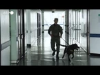 Colombia, pet therapy: i cani aiutano i soldati feriti in ospedale