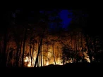 Île-de-France : la forêt de Fontainebleau en proie à un incendie d'une "ampleur exceptionnelle"