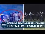 HAMBURG: Massenschlägerei — Verhaftung im Stadtpark eskaliert! Wütender Mopp attackiert Polizei
