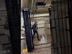 New York floods leaves passengers trapped at subway station in Brooklyn