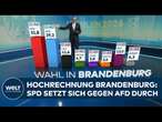 LANDTAGSWAHL IN BRANDENBURG HOCHRECHNUNG: SPD setzt sich gegen AfD durch -BSW & CDU fast gleich auf