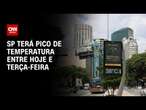 SP terá pico de temperatura entre hoje e terça-feira | AGORA CNN