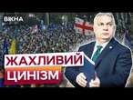 Орбан ПРИЇХАВ у Грузію в РОЗПАЛ ПРОТЕСТІВ!  Жорстка заява ЄВРОСОЮЗУ