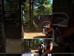 Bear charges father outside Lake Tahoe home, dramatic video shows