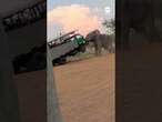 Elephant charges safari truck filled with tourists in South Africa