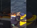 In Cilento (Salerno) tornano in libertà quattro tartarughe