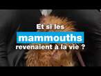 Et si les mammouths revenaient à la vie ? • FRANCE 24