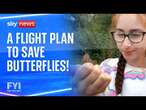 FYI: A flight plan to save butterflies