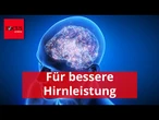 Vergesslich und unkonzentriert? Dann fehlen Ihrem Gehirn zwei Nährstoffe