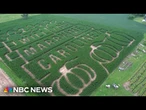 Ohio man etches wedding proposal in corn maze