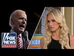 Tomi Lahren: This has been a years-long scandal in the making