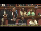 Boccia (PD): Per raggiungere la pace meglio prepararsi alla pace, non alla guerra