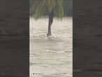 Villager clings for 12 hours to survive flood!