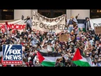 Former Harvard professor issues warning: 'Teaching and preaching antisemitism'