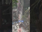 Moment Indian missile explodes in front of car