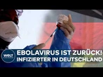 EBOLAVIRUS IN DEUTSCHLAND: Das Virus ist zurück | WHO verkündet internationalen Gesundheitsnotstand