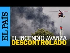 INCENDIO NAVALUENGA | El fuego avanza descontrolado por el viento y corta una carretera