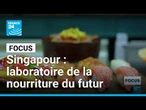 À Singapour, la nourriture du futur se cuisine en laboratoire • FRANCE 24