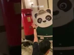Tempestade de supertufão destrói portas de hotel de luxo em Hong Kong; vídeo flagra força das águas