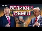 ОРБАН запропонував ПЕРЕМИР’Я на РІЗДВО  РЕАКЦІЯ США на припинення ВОГНЮ В УКРАЇНІ