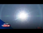 Il caldo da record che sta attraversando l'Europa pesa anche sugli animali