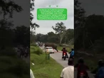 Turista tenta di filmare un elefante selvatico in India: l'animale lo carica