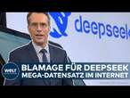 DEEPSEEK: Paukenschlag! Datenleck! Millionen von Informationen der KI offen im Internet