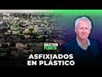 OBJETIVO PLANETA  EN DIRECTO: LORENZO MILÁ Y EL RECICLAJE DE PLÁSTICOS | RTVE