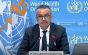Brote de ébola "empeorará antes de mejorar, la epidemia nos supera": OMS