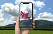 Internet CFE: estos son los 3 planes disponibles para conectarte
