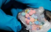 ONU adopta iniciativa de México para inhibir uso de maquinaria para la fabricación de drogas