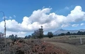 Proyecto “Suiza poblana” de Armenta, supeditado a la conservación del ecosistema: Semarnat