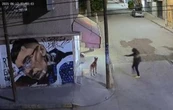 Sujeto mata a balazos a un perro en Ecatepec; el agresor sería un agente de la FGJEM