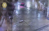 Caos por lluvias en CDMX; inundaciones, encharcamientos y suspensión en transporte (Video)