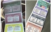 El INE ordena investigar el reparto de “acordeones” para la elección judicial