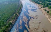 Derrame de hidrocarburo contamina ocho kilómetros del río Pantepec en Veracruz (Video)