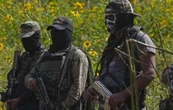 Pentágono advierte sobre cárteles mexicanos en Sudáfrica: "va a empeorar con el tiempo"