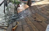 Se desploma muelle en el lago de Tequesquitengo; más de 30 personas caen al agua (Video)