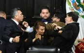 Diferencias parlamentarias: cuando los insultos ya no bastan