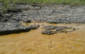 A 11 años del derrame tóxico en el Río Sonora, Comités denuncian abandono del Gobierno Federal