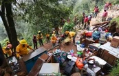 Recuperan cuatro hectáreas invadidas en la zona boscosa de Los Dinamos