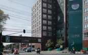 A sus 8 años Max sufre la muerte de su madre, los golpes de su padre y un litigio empantanado