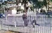 Arrestan a policía municipal y su hermano por agresión al periodista Jorge Heras