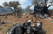 Desmantelan "narcocampamento" para reclutamiento forzado en Huejuquilla, Jalisco