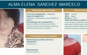 Hallan el cuerpo de Alma Sánchez enmurallada en construcción de CDMX; era originaria de Chiapas
