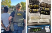 DEA presume arresto de 670 personas, decomiso masivo de drogas y dinero ligados al CJNG