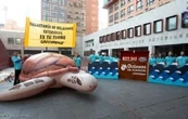 Una víctima de las regresiones al amparo: la justicia ambiental efectiva