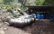 Desmantelan narcolaboratorio en Aquila; hallan mariguana y metanfetamina